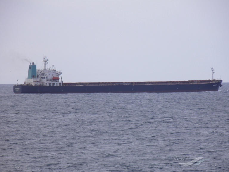 ocean loong (Bulk Carrier) - IMO 9122679, MMSI 356761000, Call Sign 3FZC3 under the flag of Panama