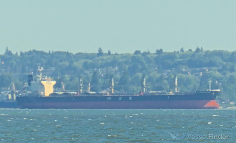 african bateleur (Bulk Carrier) - IMO 9688219, MMSI 372848000, Call Sign 3EYK4 under the flag of Panama