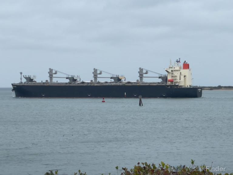 hydrangea (Wood Chips Carrier) - IMO 9888900, MMSI 372865000, Call Sign 3FFV3 under the flag of Panama