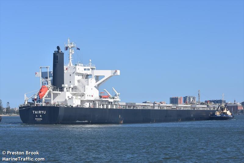 tairyu (Bulk Carrier) - IMO 9774317, MMSI 374925000, Call Sign H3JV under the flag of Panama