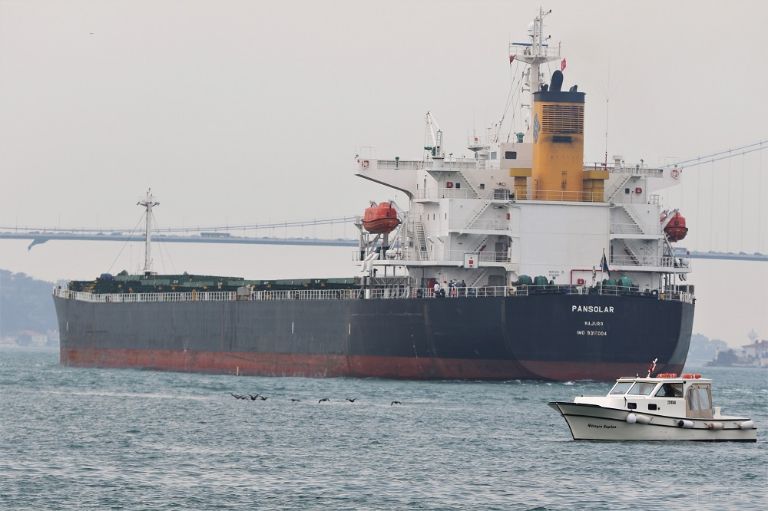 pansolar (Bulk Carrier) - IMO 9317004, MMSI 538007272, Call Sign V7EI9 under the flag of Marshall Islands