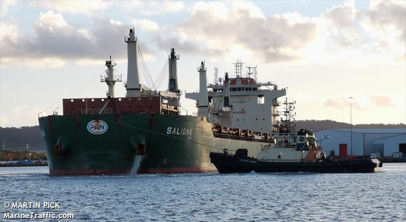 saligna (General Cargo Ship) - IMO 9825001, MMSI 538008303, Call Sign V7A2216 under the flag of Marshall Islands