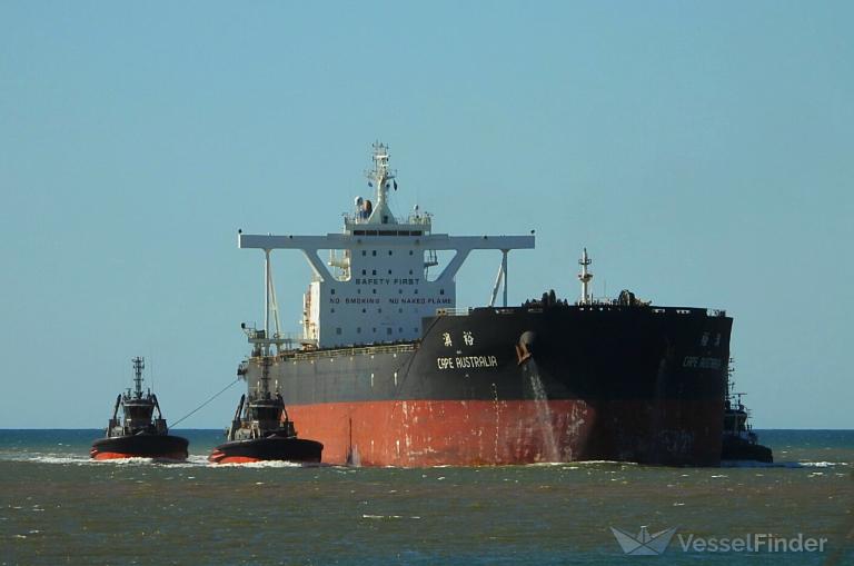 cape australia (Bulk Carrier) - IMO 9654763, MMSI 564196000, Call Sign 9V2419 under the flag of Singapore