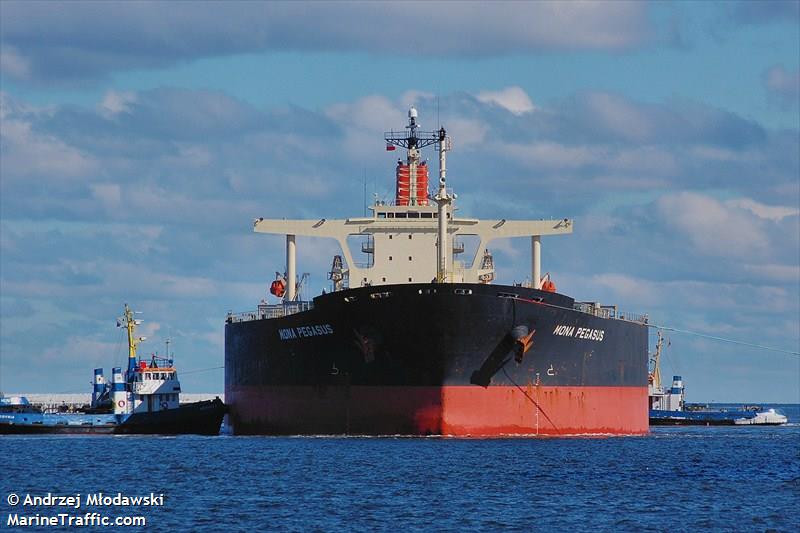 winning integrity (Bulk Carrier) - IMO 9218868, MMSI 564602000, Call Sign 9V2595 under the flag of Singapore