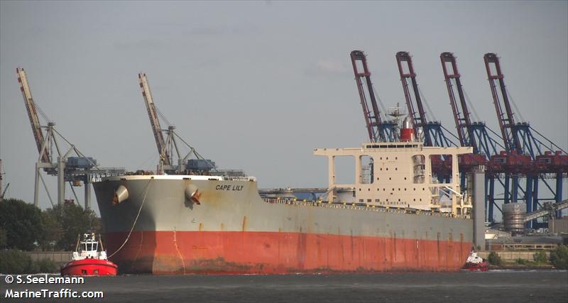 cape lily (Bulk Carrier) - IMO 9612430, MMSI 566524000, Call Sign 9V8843 under the flag of Singapore