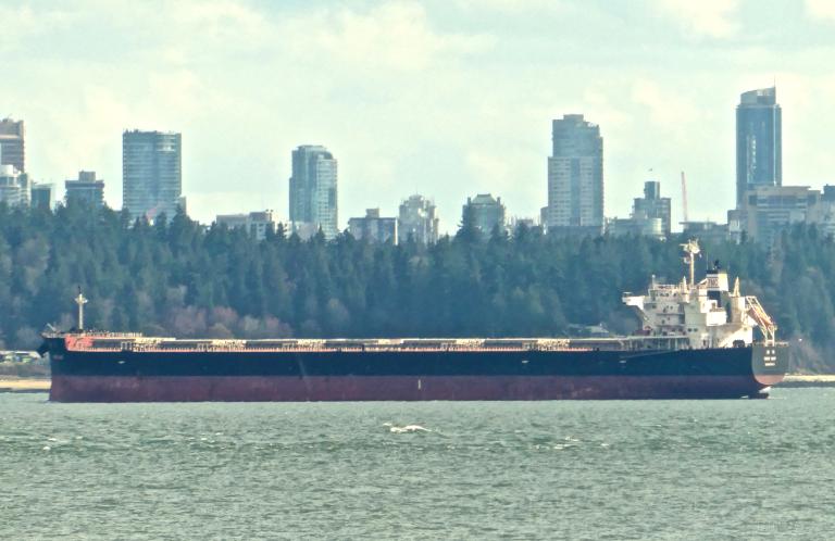 nan may (Bulk Carrier) - IMO 9774496, MMSI 636017371, Call Sign D5KO8 under the flag of Liberia