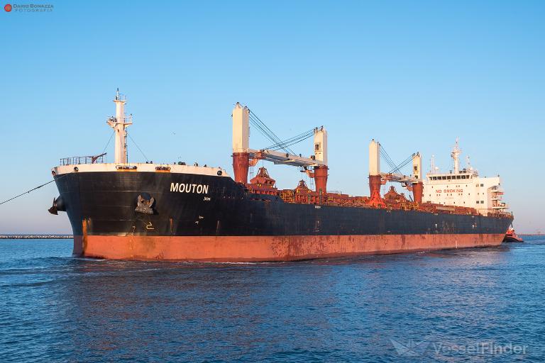 mouton (Bulk Carrier) - IMO 9431513, MMSI 636019919 under the flag of Liberia