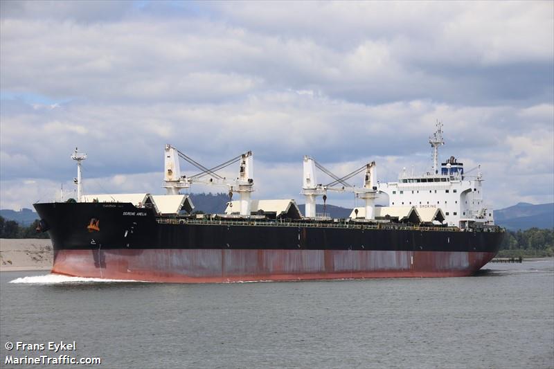 serene amelia (Bulk Carrier) - IMO 9567958, MMSI 215031000, Call Sign 9HA4929 under the flag of Malta