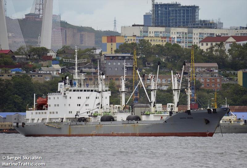 captain mokeev (Refrigerated Cargo Ship) - IMO 9081667, MMSI 273358980, Call Sign UBMJ3 under the flag of Russia