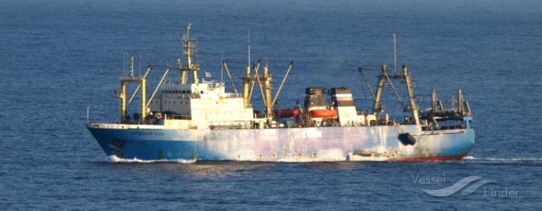 kurshskaya kosa (Fish Factory Ship) - IMO 8607206, MMSI 273532110, Call Sign UBCI under the flag of Russia