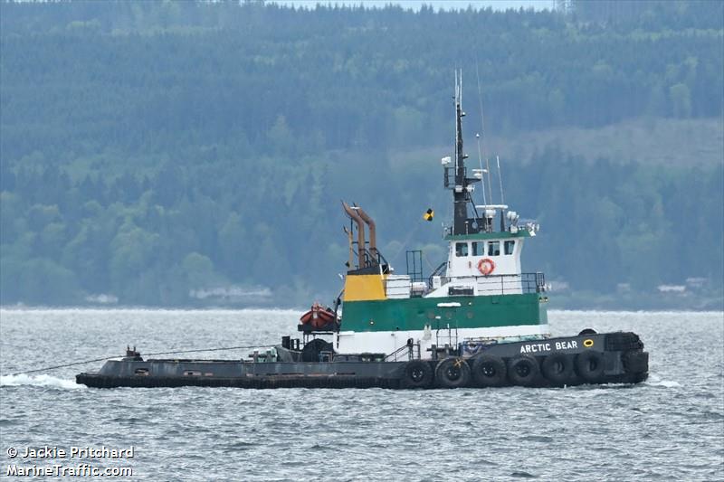 arcticbear (Tug) - IMO 8129503, MMSI 303396000, Call Sign WBP3396 under the flag of Alaska