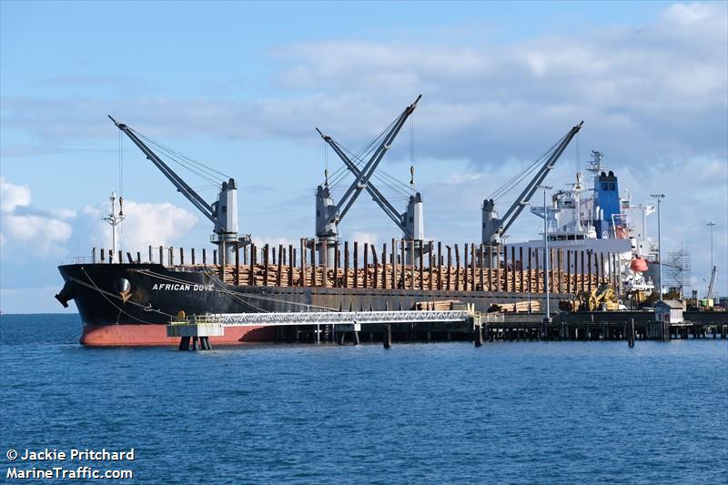 african dove (Bulk Carrier) - IMO 9682772, MMSI 311000205, Call Sign C6BA2 under the flag of Bahamas