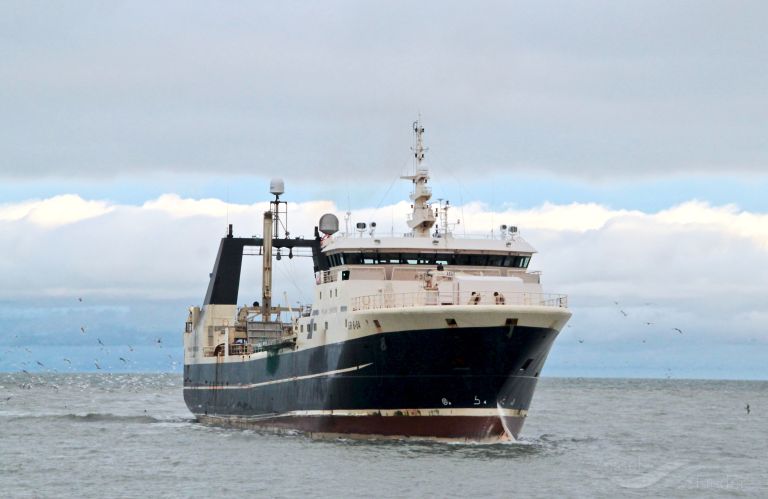 polar princess (Fish Factory Ship) - IMO 9204609, MMSI 331119000, Call Sign OYPK under the flag of Greenland
