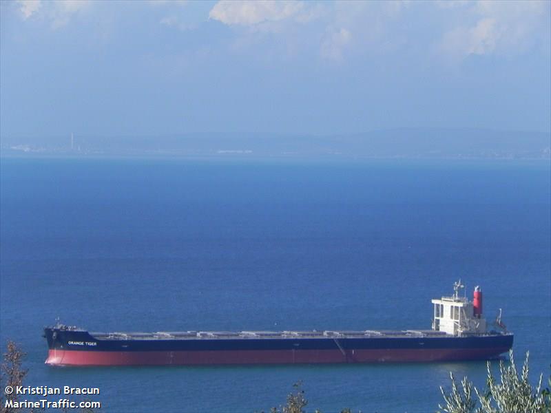 orange tiger (Bulk Carrier) - IMO 9446611, MMSI 352630000, Call Sign 3FXI7 under the flag of Panama