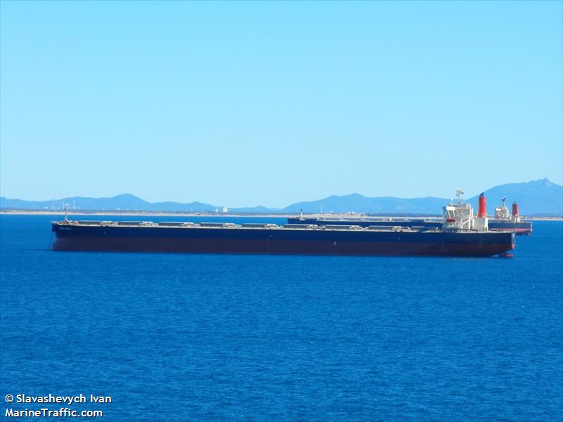 samc transporter (Bulk Carrier) - IMO 9355159, MMSI 353073000, Call Sign 3EDP5 under the flag of Panama