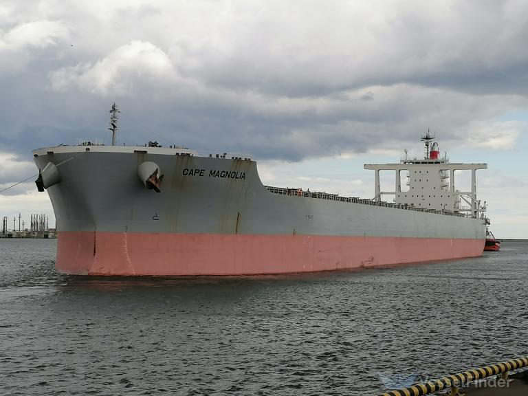 cape magnolia (Bulk Carrier) - IMO 9573787, MMSI 357427000, Call Sign 3FGP2 under the flag of Panama