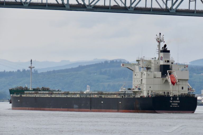 tai kudos (Bulk Carrier) - IMO 9799719, MMSI 373291000, Call Sign 3FYH9 under the flag of Panama