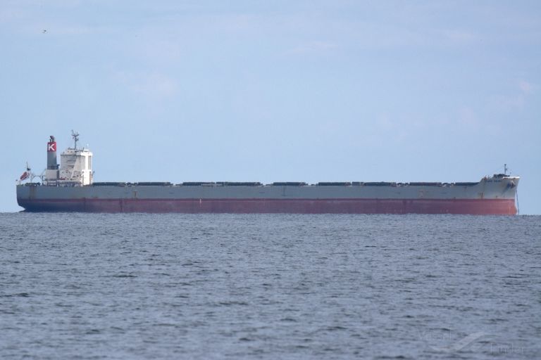 cape peony (Bulk Carrier) - IMO 9425447, MMSI 373590000, Call Sign 3FDX6 under the flag of Panama