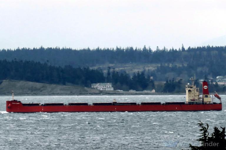 pan flower (Bulk Carrier) - IMO 9625841, MMSI 373975000, Call Sign 3FZO9 under the flag of Panama