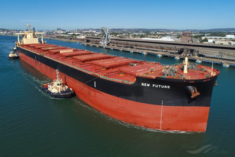 new future (Bulk Carrier) - IMO 9750816, MMSI 374578000, Call Sign 3EXX4 under the flag of Panama