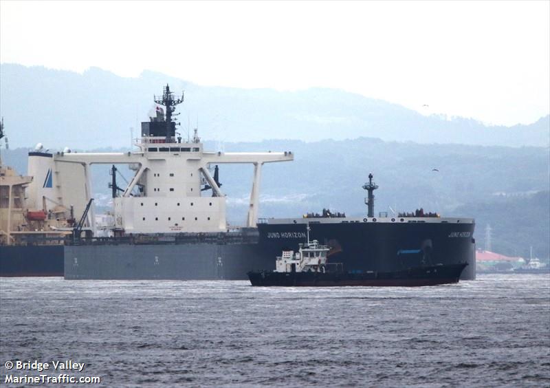 juno horizon (Bulk Carrier) - IMO 9759989, MMSI 431800000, Call Sign 7KCJ under the flag of Japan