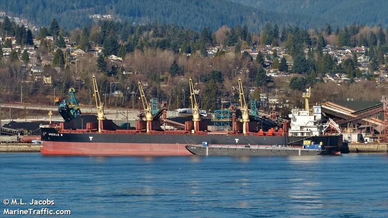 angele n (Bulk Carrier) - IMO 9509528, MMSI 477634100, Call Sign VRFI8 under the flag of Hong Kong