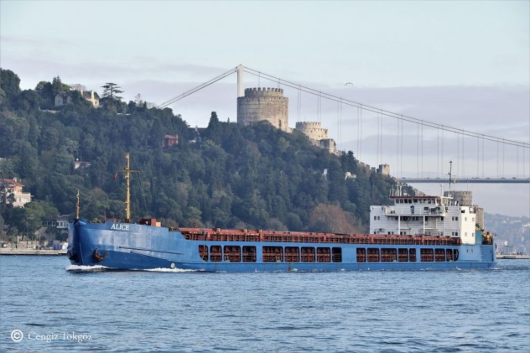 alice (General Cargo Ship) - IMO 8927979, MMSI 511487000, Call Sign T8A2571 under the flag of Palau