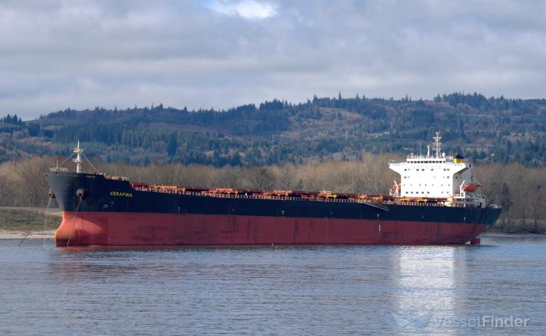 cerafina (Bulk Carrier) - IMO 9305087, MMSI 538004925, Call Sign V7ZV7 under the flag of Marshall Islands