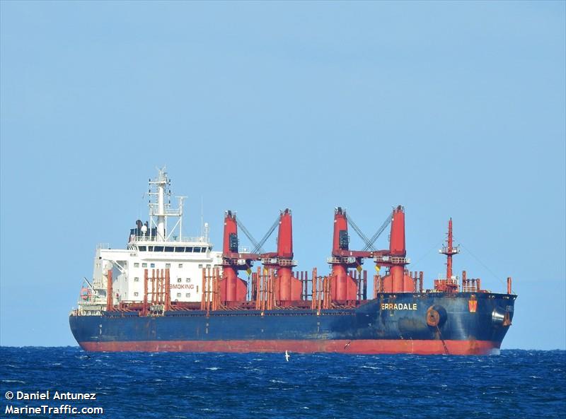 erradale (Bulk Carrier) - IMO 9681883, MMSI 565024000, Call Sign 9V2064 under the flag of Singapore