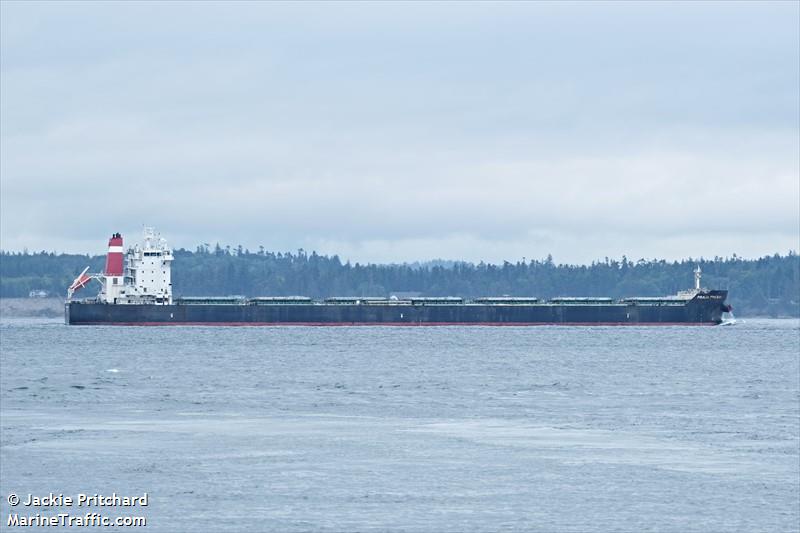 figalia prudence (Bulk Carrier) - IMO 9588316, MMSI 241211000, Call Sign SVBN2 under the flag of Greece