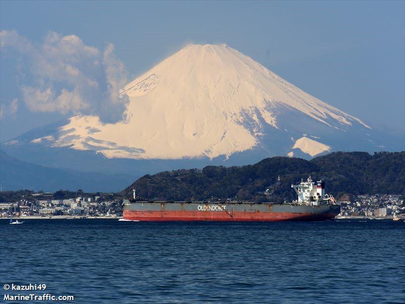 hinrich oldendorff (Bulk Carrier) - IMO 9713064, MMSI 255805828, Call Sign CQAZ under the flag of Madeira