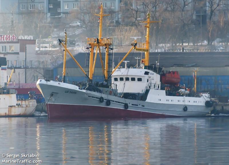 caesar (Fish Carrier) - IMO 8835968, MMSI 273844500, Call Sign UCXC under the flag of Russia