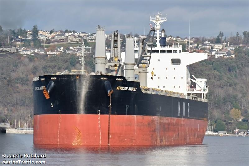 african avocet (Bulk Carrier) - IMO 9738870, MMSI 311000824, Call Sign C6DZ3 under the flag of Bahamas