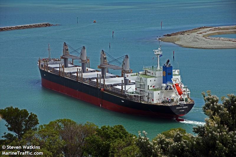 lygia (Bulk Carrier) - IMO 9385166, MMSI 354213000, Call Sign HOGT under the flag of Panama