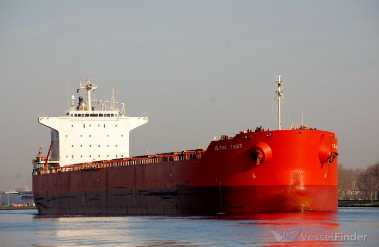 ultra tiger (Bulk Carrier) - IMO 9414149, MMSI 355410000, Call Sign 3FVR8 under the flag of Panama
