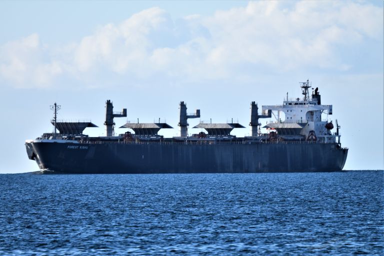 thanh thanh dat 89 (Wood Chips Carrier) - IMO 9142019, MMSI 356788000, Call Sign 3FMT6 under the flag of Panama