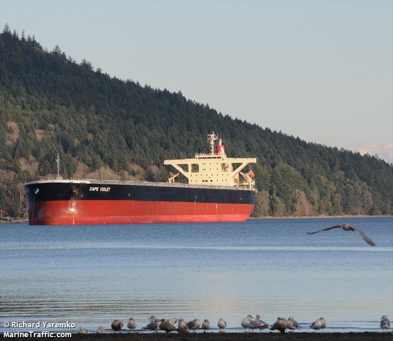 cape violet (Bulk Carrier) - IMO 9479905, MMSI 356812000, Call Sign 3FXU3 under the flag of Panama