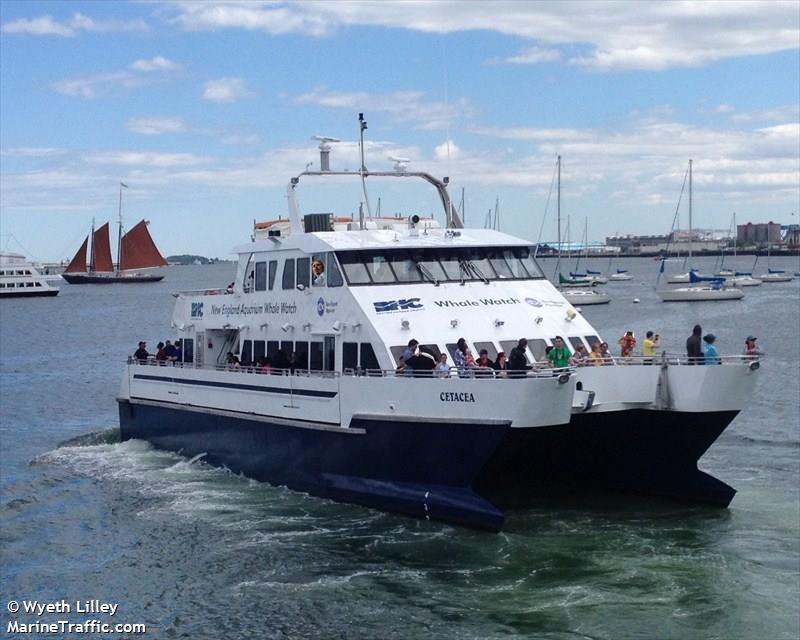 cetacea (Passenger Ship) - IMO 8678968, MMSI 367567110, Call Sign WDG7421 under the flag of United States (USA)