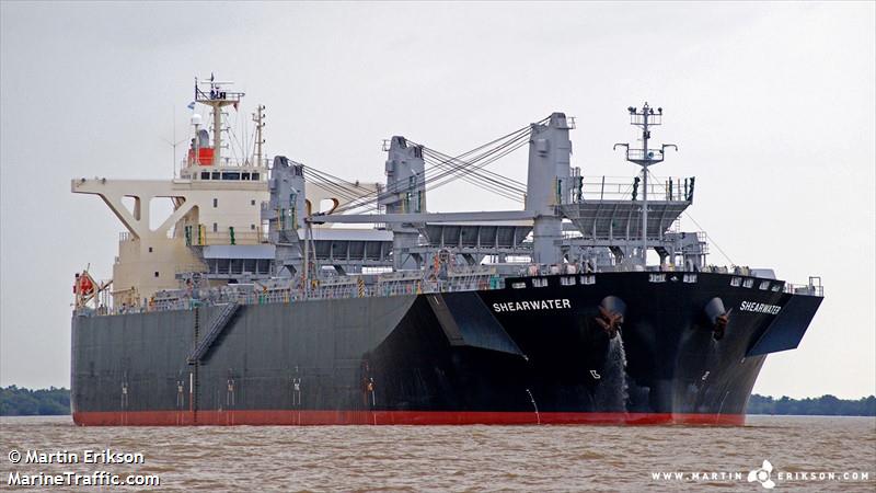 shearwater (Wood Chips Carrier) - IMO 9363091, MMSI 370338000, Call Sign 3ESK5 under the flag of Panama