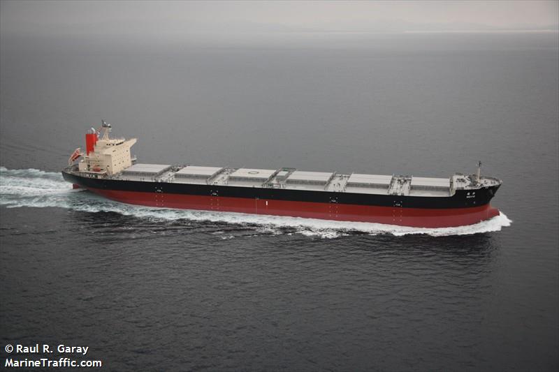 reiyo (Bulk Carrier) - IMO 9568201, MMSI 370422000, Call Sign 3EZH4 under the flag of Panama