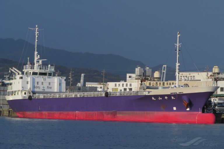 taiheizan maru (Cargo ship) - IMO , MMSI 431013094, Call Sign JD4581 under the flag of Japan
