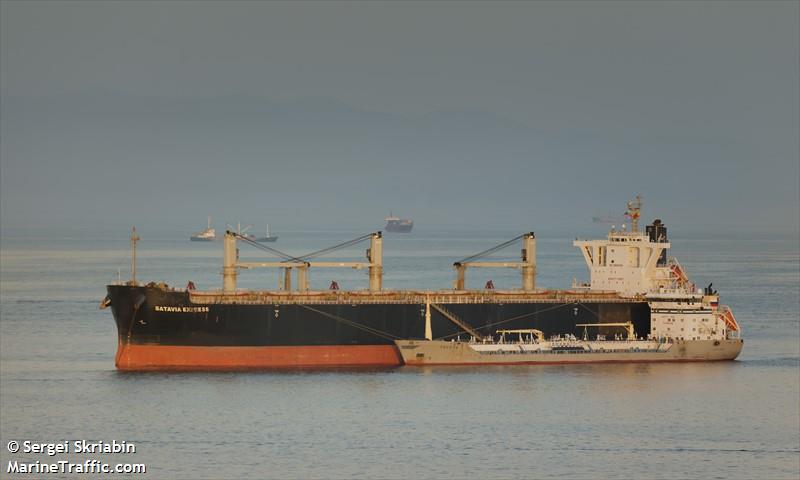 batavia express (Wood Chips Carrier) - IMO 9539987, MMSI 477224200, Call Sign VRLS4 under the flag of Hong Kong