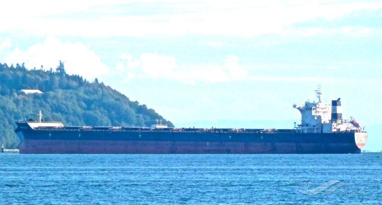 cape sun (Bulk Carrier) - IMO 9546899, MMSI 477691700, Call Sign VRFM3 under the flag of Hong Kong