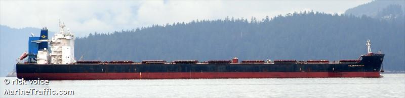 golden magnum (Bulk Carrier) - IMO 9494230, MMSI 477767800, Call Sign VRML3 under the flag of Hong Kong