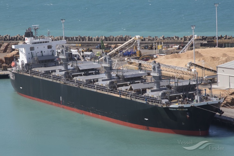 ocean pegasus (Wood Chips Carrier) - IMO 9354507, MMSI 538003240, Call Sign V7PJ4 under the flag of Marshall Islands