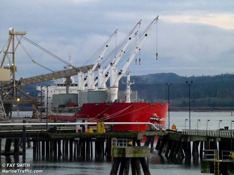 yangtze alpha (Bulk Carrier) - IMO 9632791, MMSI 538004462, Call Sign V7XE9 under the flag of Marshall Islands