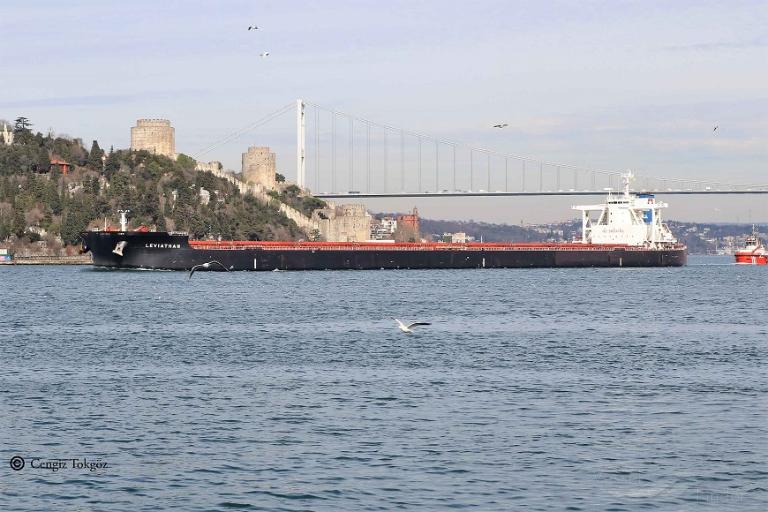 leviathan (Bulk Carrier) - IMO 9702546, MMSI 538005810, Call Sign V7HE8 under the flag of Marshall Islands