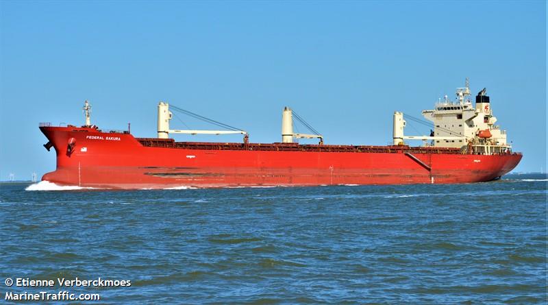 federal sakura (Bulk Carrier) - IMO 9288291, MMSI 538007274, Call Sign V7EO6 under the flag of Marshall Islands