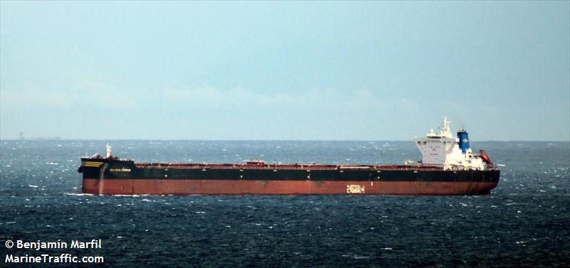 golden cirrus (Bulk Carrier) - IMO 9717395, MMSI 538007731, Call Sign V7BY9 under the flag of Marshall Islands