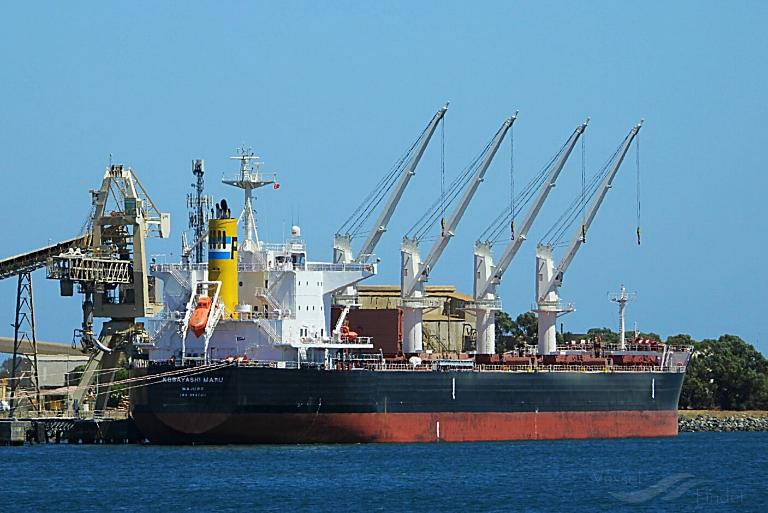 kobayashi maru (Bulk Carrier) - IMO 9847011, MMSI 538008176, Call Sign V7A2046 under the flag of Marshall Islands